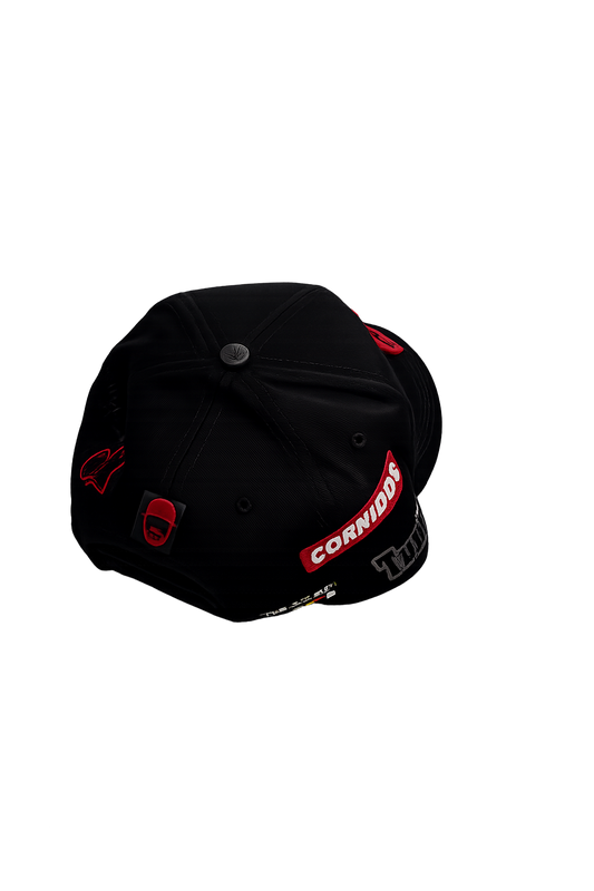 Barbas x nata racing